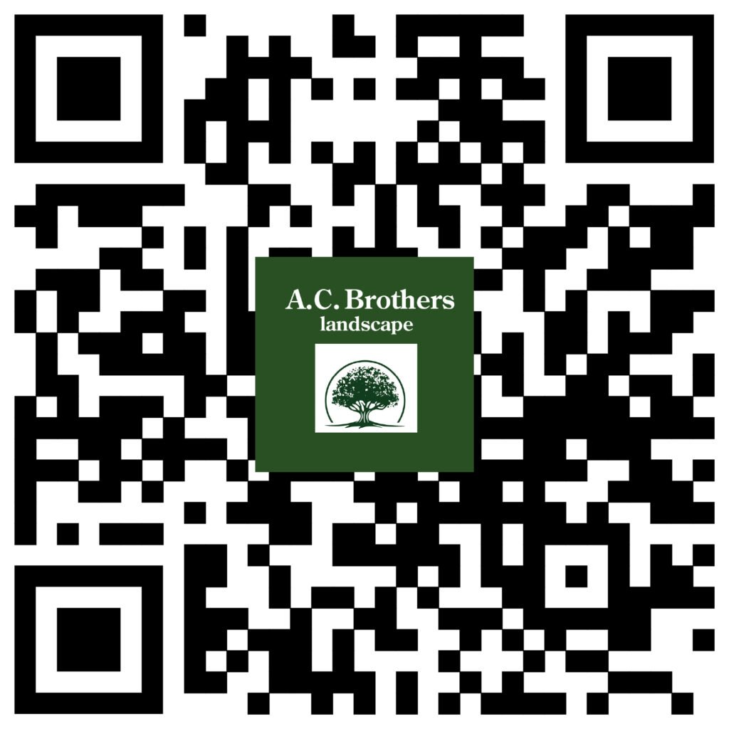 qr 01